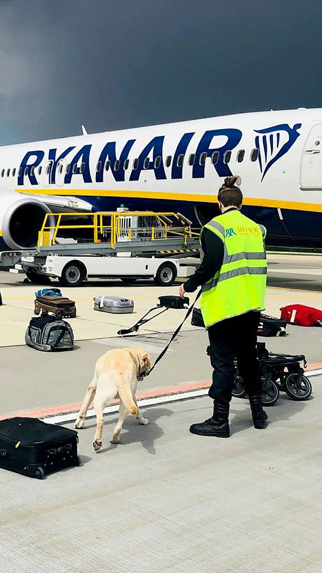 Ryanairin kone Minskin lentokentällä.