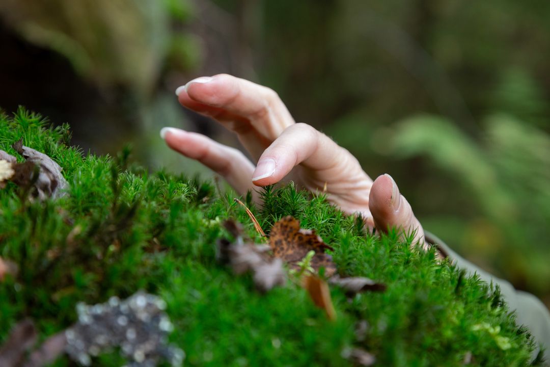 Käsi koskettaa sammalta.